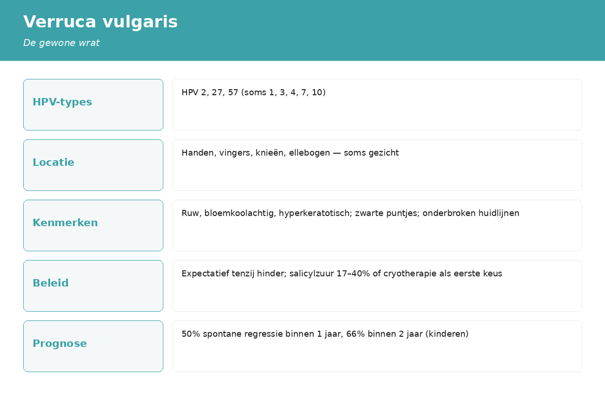 Kenmerkenkaart Verruca vulgaris