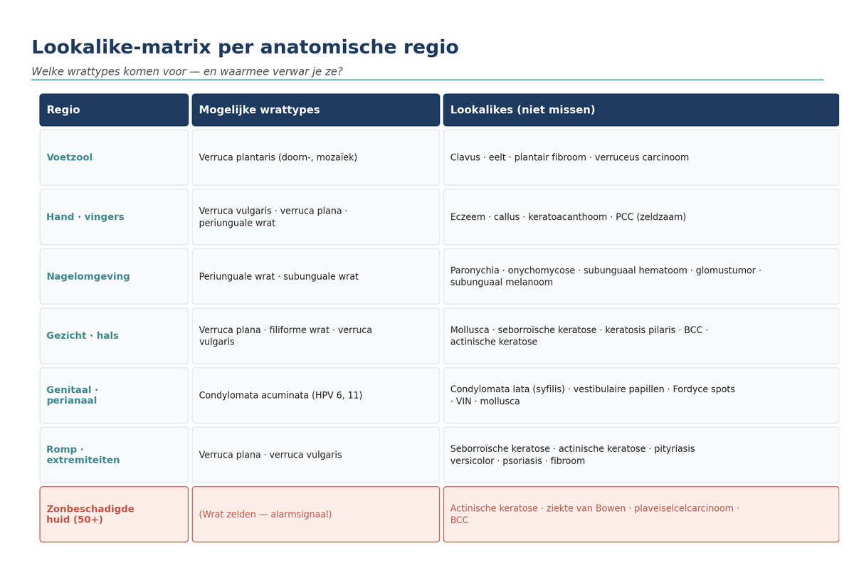 Lookalike-matrix per anatomische regio