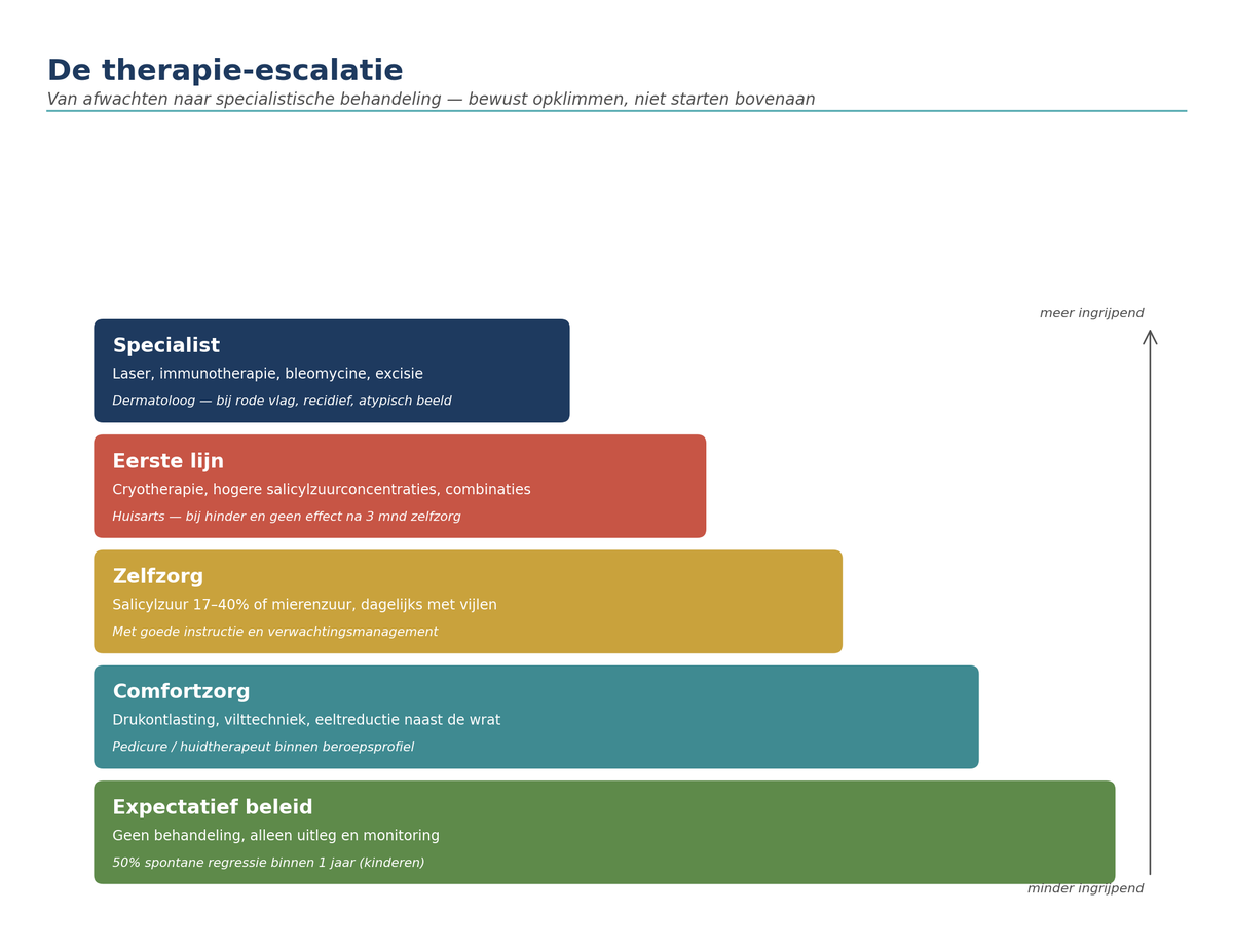 Therapie-escalatiepiramide wratten